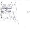 sakura sakura