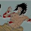 Sasuke V Sasuke V
