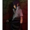 SASUKE