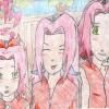 l'evolution de Sakura