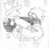 Kakashi & Chopper