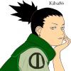 Shika ^^'