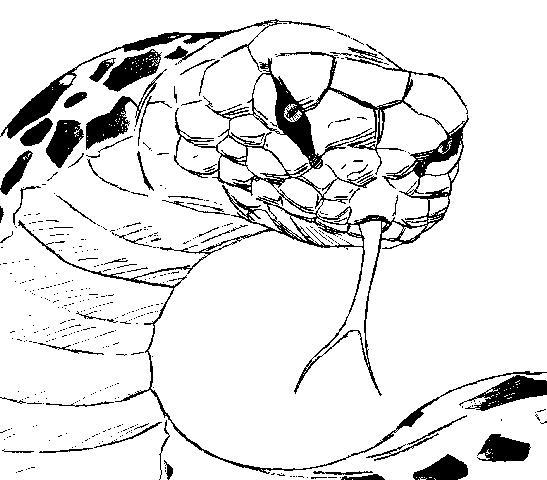 the great snake escape naruto episode