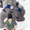 Shikamaru et la panthere