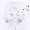 Sakura Haruno [ Shippuden ]