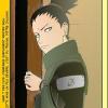 shikamaru shikamaru