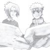2 amis