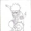 Naruto furie