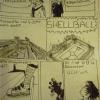 Shellball