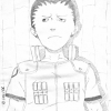 A quoi pense Shikamaru ? A quoi pense Shikamaru ?