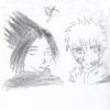 Sasuke et Naruto à ma facon