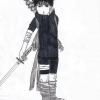 Roy le ninja