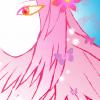 (>'-')> Sakura florale... (>'-')> Sakura florale...