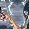 Sasuke & Itachi ~