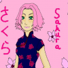 Sakura : Fleur de Cerisier Sakura : Fleur de Cerisier