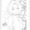 Sakura 2 Sakura 2