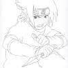 Sasu