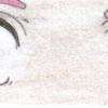 Les yeux de Sakura Les yeux de Sakura
