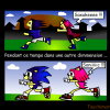 Sasuke/Sakura et Sonic/Ami