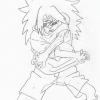 sasuke niveau 2